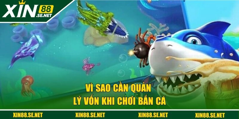 Vì sao cần quản lý vốn khi chơi bắn cá