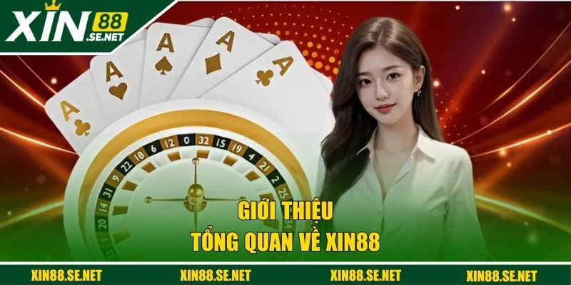 Giới thiệu tổng quan về thương hiệu